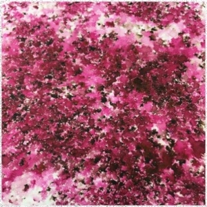 Infusions Dye Stain - Magenta